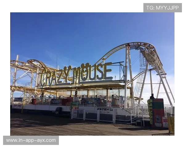 布莱顿追德布劳内式桥梁：开启城市创新与未来连接的新篇章